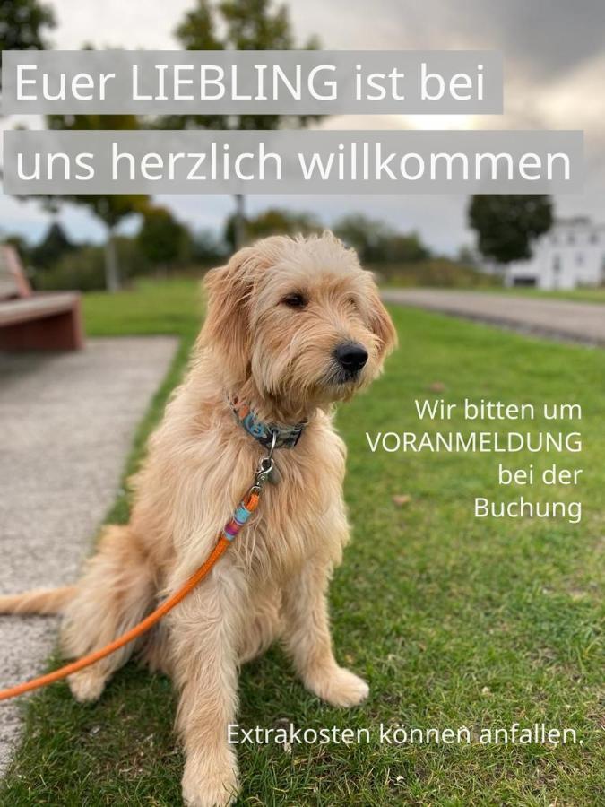 Fewo Johan - Ideal Fuer 1-2 Personen, Eigene Terrasse Hamm  Zewnętrze zdjęcie